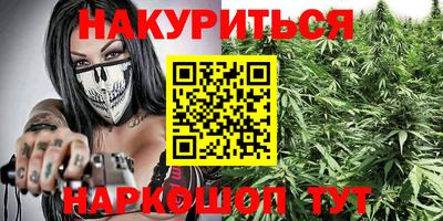 mdpv Ачхой-Мартан