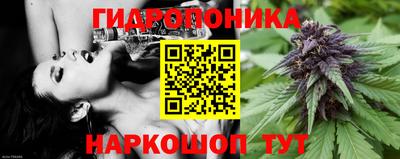 mdpv Ачхой-Мартан