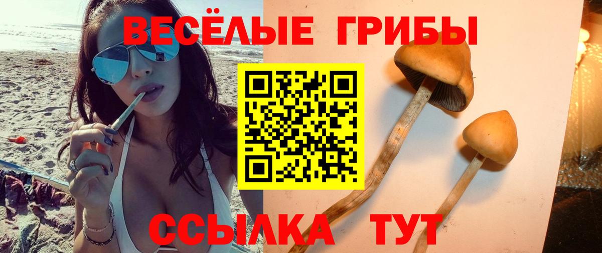 Псилоцибиновые грибы Magic Shrooms Гудермес