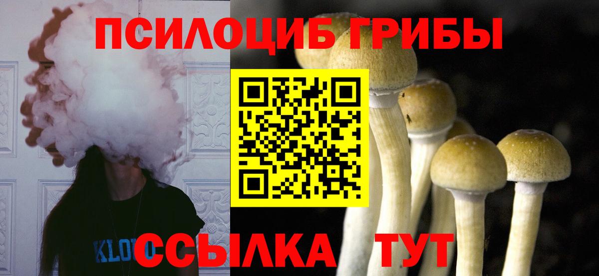 Гудермес  Галлюциногенные грибы Cubensis  Псилоцибиновые грибы Magic Shrooms  Вход с VPN 